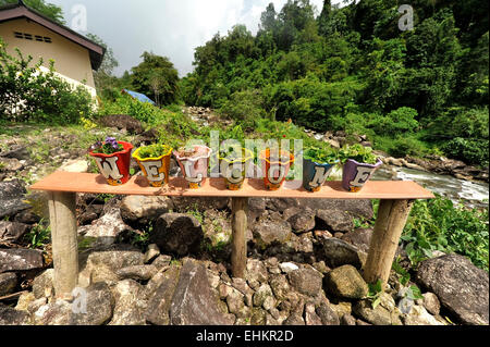 Parola di benvenuto sul vaso colorato Foto Stock