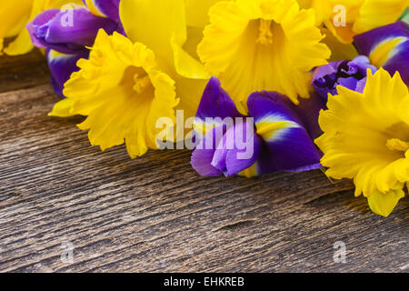 Pasqua narcisi e irise Foto Stock