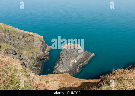 Il litorale scoscese di dinas isola, Pembrokeshire, Galles Foto Stock