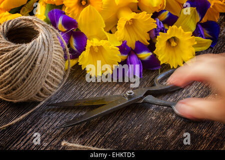 Pasqua narcisi e irise Foto Stock