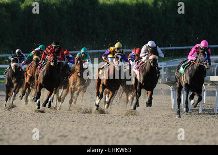 Palio di Santa Anita raectrack nella California Meridionale. Foto Stock