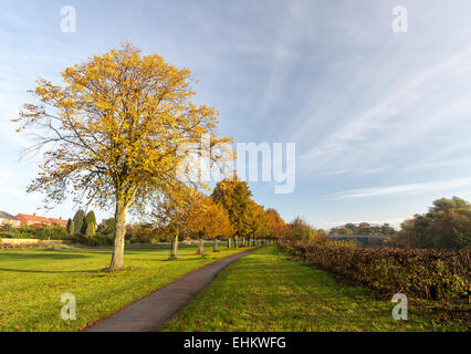 Autunno dal fiume Ouse - e il Millennium Bridge - in York, North Yorkshire. Foto Stock