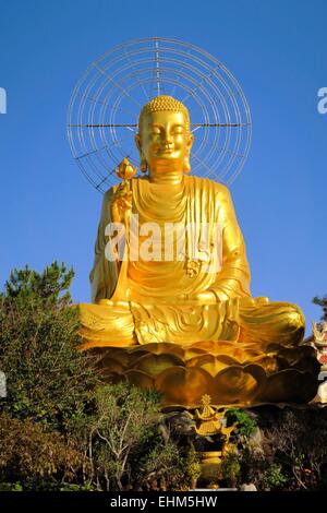 Seduta gigante Buddha dorato.,Dalat, Vietnam Foto Stock