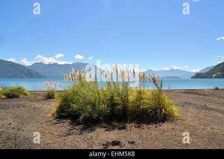 Lago Todos Los Santos, Patagonia, Cile Foto Stock