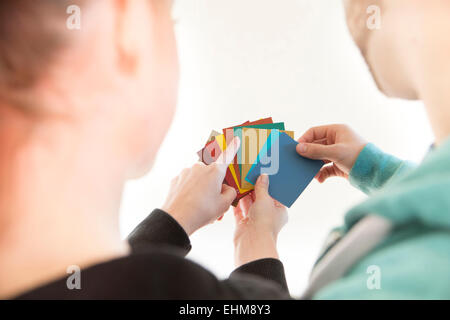 Razza mista matura la selezione di campioni di colore Foto Stock