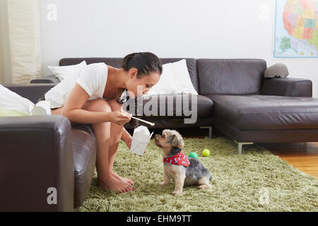 Donna cinese alimentazione asporto del cane in salotto Foto Stock