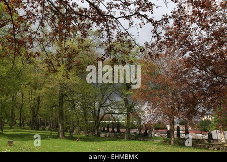 Tempo di primavera presso il cimitero della città di Karlovy Vary, Repubblica Ceca. Foto Stock