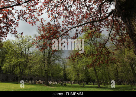 Tempo di primavera presso il cimitero della città di Karlovy Vary, Repubblica Ceca. Foto Stock