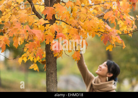 Donna asiatica per raggiungere le foglie di autunno nel parco Foto Stock