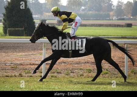 Fantini e i loro cavalli competere durante il Velka Pardubicka siepi in Pardubice, Repubblica Ceca. Velka Pardubicka siepi è noto come le siepi più difficili in Europa continentale. Foto Stock