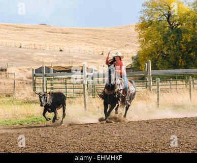 La donna caucasica a caccia di bestiame al rodeo Foto Stock