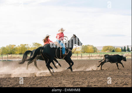 I pastori caucasici a caccia di bestiame al rodeo Foto Stock