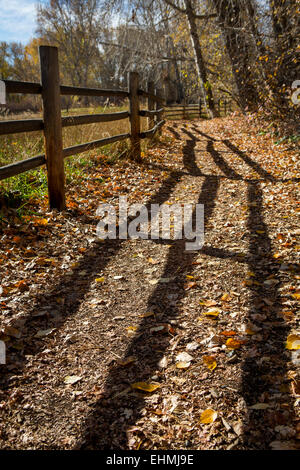 Staccionata in legno che gettano ombre sul percorso di sporcizia Foto Stock