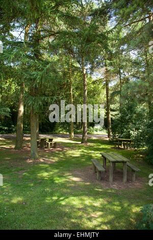 Hartshill Hayes Country Park, Atherstone, Warwickshire, Regno Unito Foto Stock