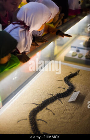 Gli allievi delle scuole stanno prestando attenzione ad una esposizione di un rettile al Museo Geologi (Museo di Geologia) a Bandung, Giava Occidentale, Indonesia. Foto Stock