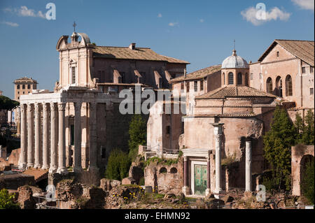 Il Tempio di Antonino e Faustina, sinistra e Tempio di Romolo nel Foro Romano, Roma, lazio, Italy. Foto Stock