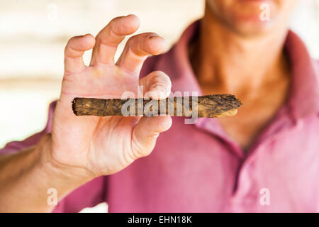 Sigari fatti a mano, Vinales, Cuba. Foto Stock