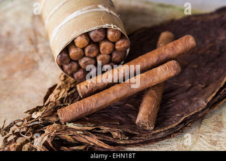 Sigari fatti a mano, Vinales, Cuba. Foto Stock