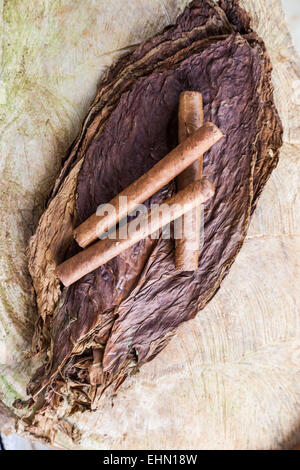 Sigari fatti a mano, Vinales, Cuba. Foto Stock