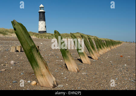 Interruttori di legno, il famoso faro sulla spiaggia, Spurn punto, East Yorkshire, Kingston Upon Hull. Inghilterra, Regno Unito Foto Stock