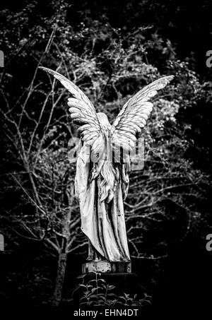 Angelo pietra tombale a lunghezza piena vista posteriore in bianco e nero Foto Stock