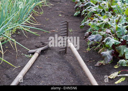 Pala e rastrello giacciono tra i letti di vegetali Foto Stock