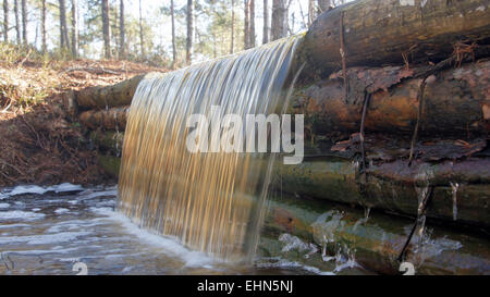 Cascata in Viru bog, Lahemaa National Park, Estonia Foto Stock