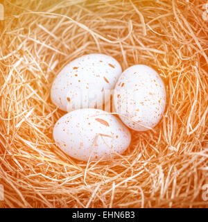 Tre uova di pasqua nel nido per la Pasqua con caldo arancio tonificante Foto Stock