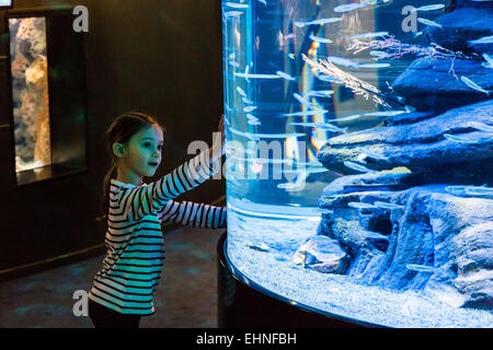 7 anno-vecchia ragazza guardando i pesci in un acquario. Foto Stock