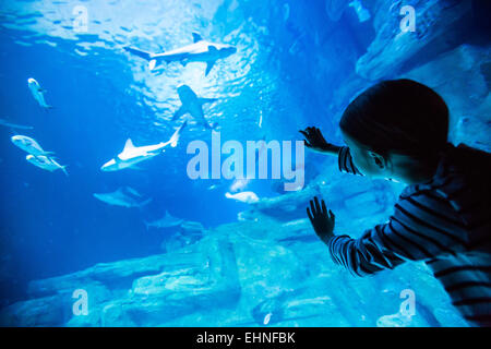 7 anno-vecchia ragazza guardando i pesci in un acquario. Foto Stock