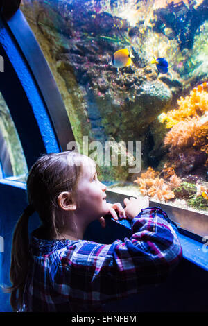 5 anno-vecchia ragazza guardando i pesci in un acquario. Foto Stock