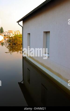 Giardino allagato nel diluvio di Magdeburgo Foto Stock