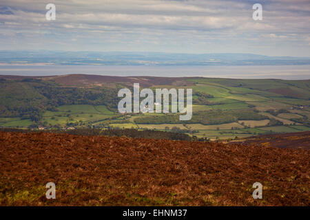 Il canale di Bristol e il Gallese costa da Dunkery Beacon summit 1,705ft - il punto più alto di Exmoor e Somerset, Inghilterra, Regno Unito Foto Stock