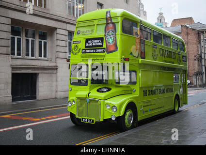 Liverpool, Merseyside, Regno Unito. 16 marzo, 2013. Leyland Aec autobus RouteMaster presso il grand'evento nazionale presso l'Hotel Indigo. I dipendenti del Grand National sponsor Crabbies stanno programmando di soggiornare al Hotel Indigo su Chapel Street durante il periodo dell'aprile gara incontro. Foto Stock