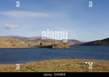 Castello Ardvreck, Loch Assynt, vicino a Lochinver, altopiani, Scozia Foto Stock