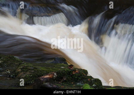 Moness masterizzare, Birks di Aberfeldy, Aberfeldy, Perthshire Scozia Scotland Foto Stock