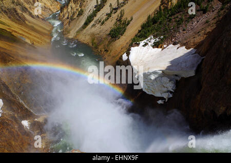 Stati Uniti d'America - Grand kanyon di Yellowstone Foto Stock