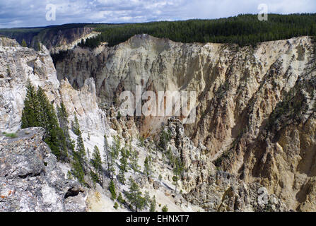 Stati Uniti d'America - Grand kanyon di Yellowstone Foto Stock