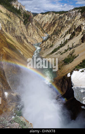 Stati Uniti d'America - Grand kanyon di Yellowstone Foto Stock