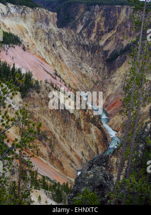 Stati Uniti d'America - Grand kanyon di Yellowstone Foto Stock