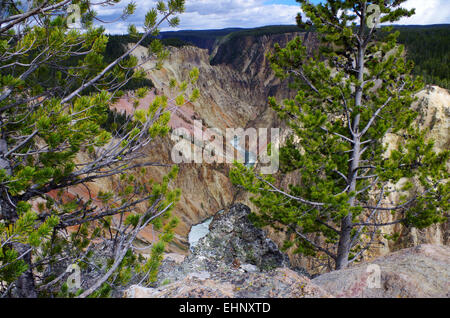 Stati Uniti d'America - Grand kanyon di Yellowstone Foto Stock