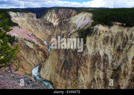 Stati Uniti d'America - Grand kanyon di Yellowstone Foto Stock