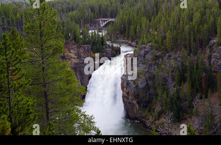 Stati Uniti d'America - Grand kanyon di Yellowstone Foto Stock