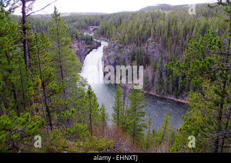 Stati Uniti d'America - Grand kanyon di Yellowstone Foto Stock