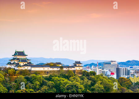 Wakayama, Giappone Castle e il centro città. Foto Stock