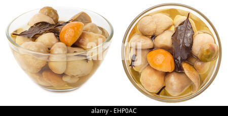 Decapati cepe di funghi in ciotola di vetro isolato su sfondo bianco. Vista laterale e dall'alto. Foto Stock