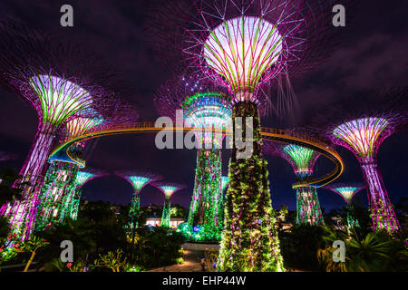 SINGAPORE - 19 Marzo: vista notturna del Supertree Grove a giardini dalla baia il 19 marzo 2013 a Singapore. Spanning 101 hecta Foto Stock