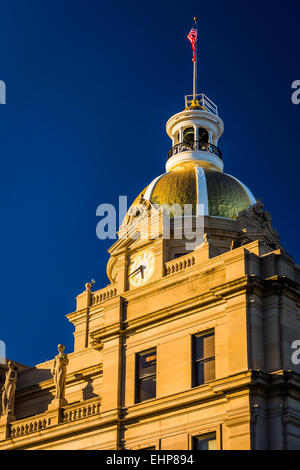 Municipio di Savannah, Georgia. Foto Stock