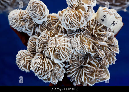 Rose selenite sulla vendita a Tucson Gem, minerali e fossili mostrano un popolare, annuale, evento globale e di attrazione in Arizona. Foto Stock