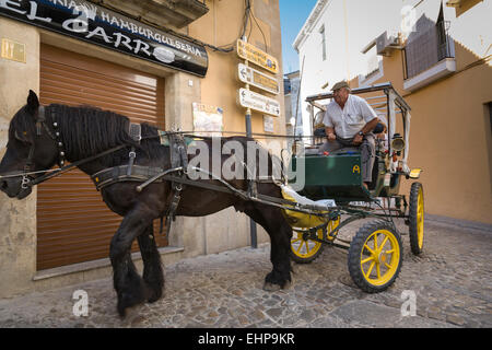 Un carrello il cavallo traina un turista moderno trasporto attraverso le strette strade di ciottoli di Trujillo, Estremadura, Spagna. Foto Stock